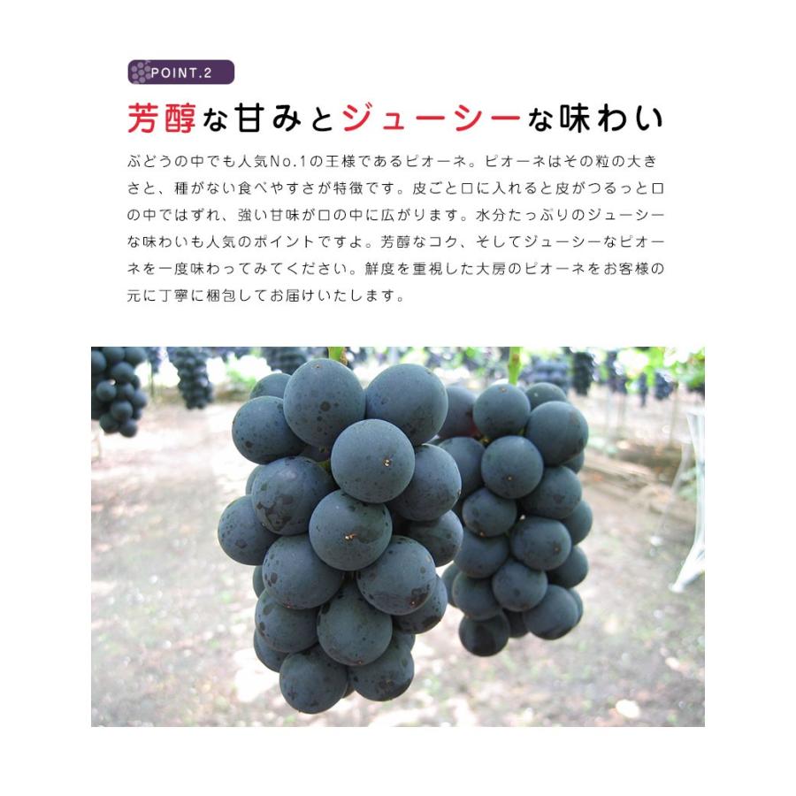 送料無料 岡山 山梨県産 種なしピオーネ 1房 約500g ぶどう 種無し 黒