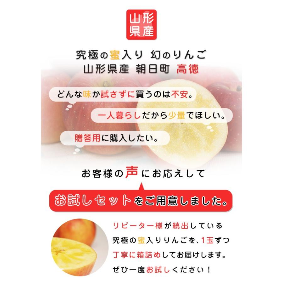 りんご 高徳りんご 山形 朝日町 4‐6玉入 約1.0kg 蜜入りりんご こう