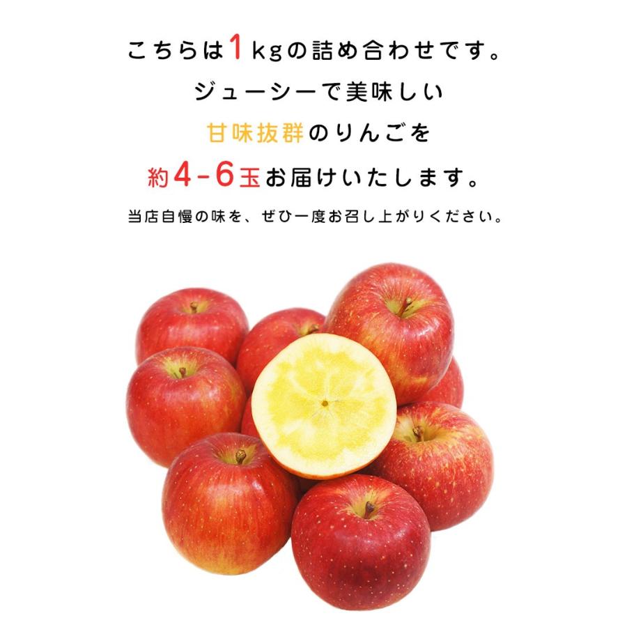 山形県産 朝日町 りんご 高徳 4 6玉入 約1 0kg 蜜入りりんご 蜜入り林檎 11月上旬頃より順次発送 街の果樹園 通販 Yahoo ショッピング