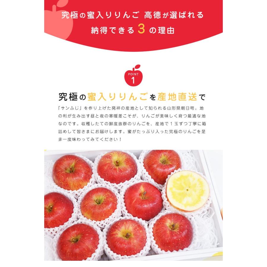 りんご 高徳りんご 山形 朝日町 4‐6玉入 約1.0kg 蜜入りりんご こう