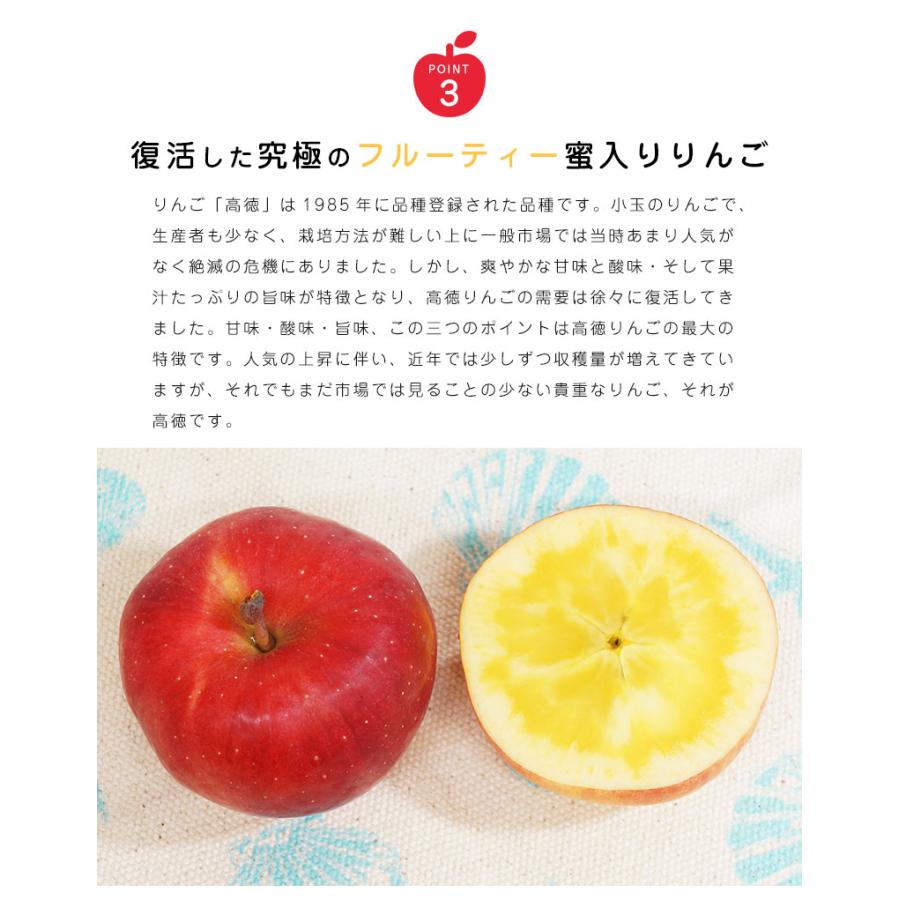 山形県産 朝日町 りんご 高徳 4 6玉入 約1 0kg 蜜入りりんご 蜜入り林檎 11月上旬頃より順次発送 街の果樹園 通販 Yahoo ショッピング