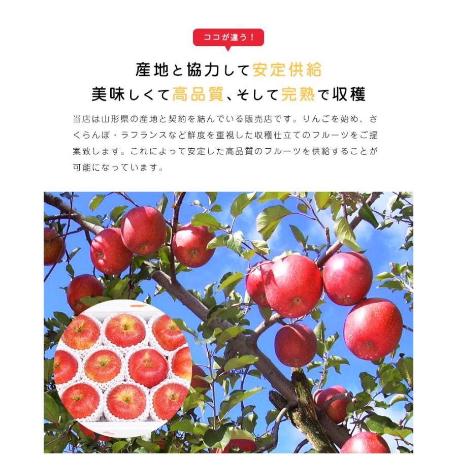 りんご 高徳りんご 山形 朝日町 4‐6玉入 約1.0kg 蜜入りりんご こう