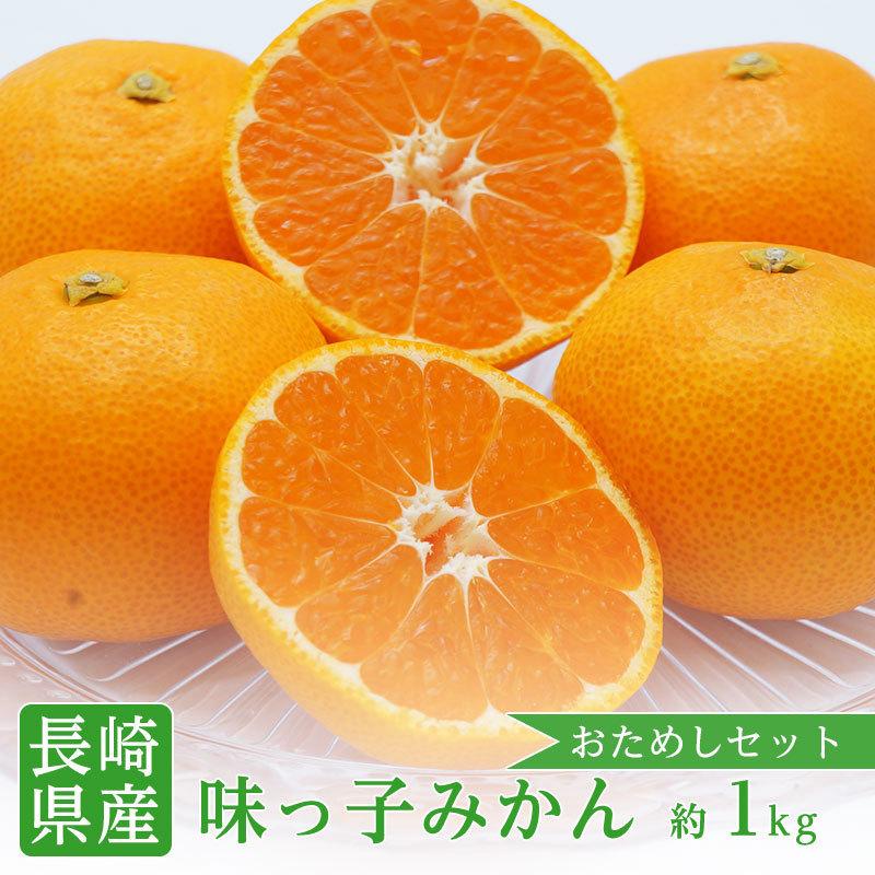 みかん 味っ子みかん 長崎 西海 2S 約1kg 高糖度 小粒 小玉 ミカン 味