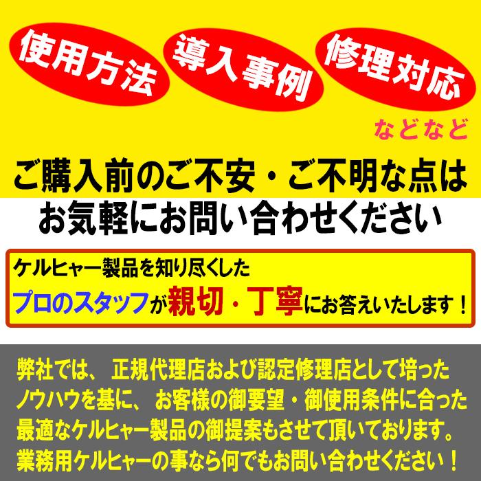 ケルヒャー - 押さえる2年言いはなつ 無料取説 1.174-914.0 HDS 8/15 C (60サイクル) 温水高圧洗いもの機【人間宅送りとどける不可・軒先車上渡し HDS8/15 KARCHER