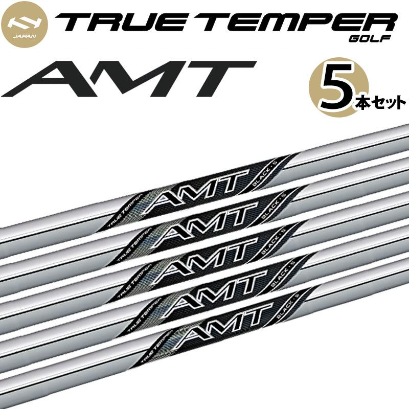 TRUE TEMPER（トゥルーテンパー） AMT BLACK ブラック アイアン用