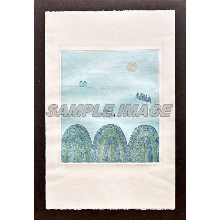 南桂子「少女と馬」カラーエッチング 5/100 額装済 南桂子「少女と馬」カラーエッチング 5/100 額装済 南桂子