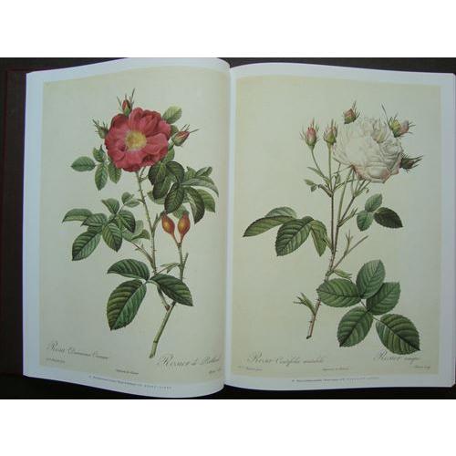 Les Roses バラ図譜（豪華愛蔵版）」[B200211] : 町の入口 Yahoo