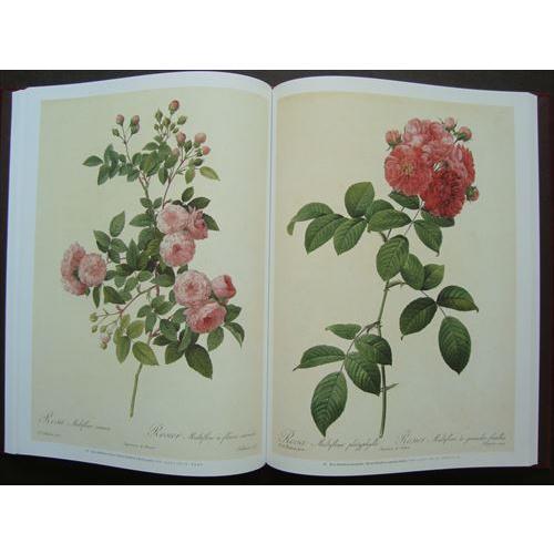 Les Roses バラ図譜（豪華愛蔵版）」[B200211] : 町の入口 Yahoo