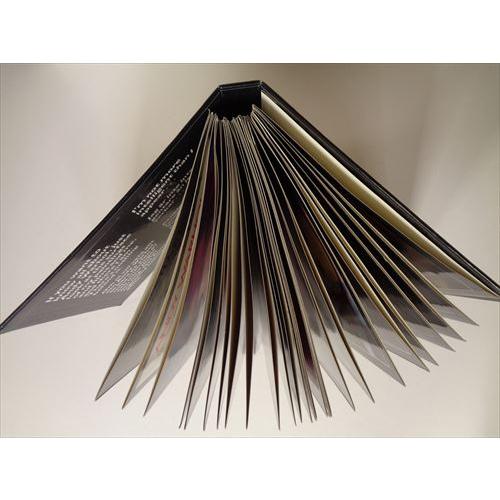 アンディ・ウォーホル ポートレート・オブ・イングリッド・バーグマン