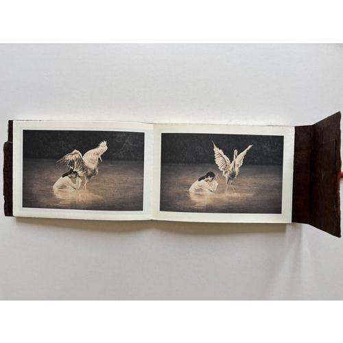 Ashes and Snow グレゴリー・コルベール写真集」[B260088] : 町の入口 