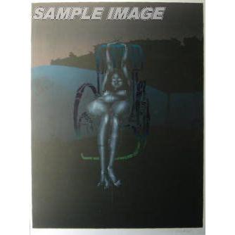 極点・ヴンダーリッヒ「Twilight(Blatt 4)」（版画）【写真立て付き添い人】[A050040]Paul Wunderlich リトグラフ-美術、工芸品