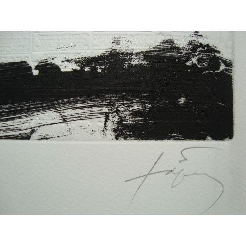 アントニ タピエス、【大きな側面のX】、新品高級額 額装付