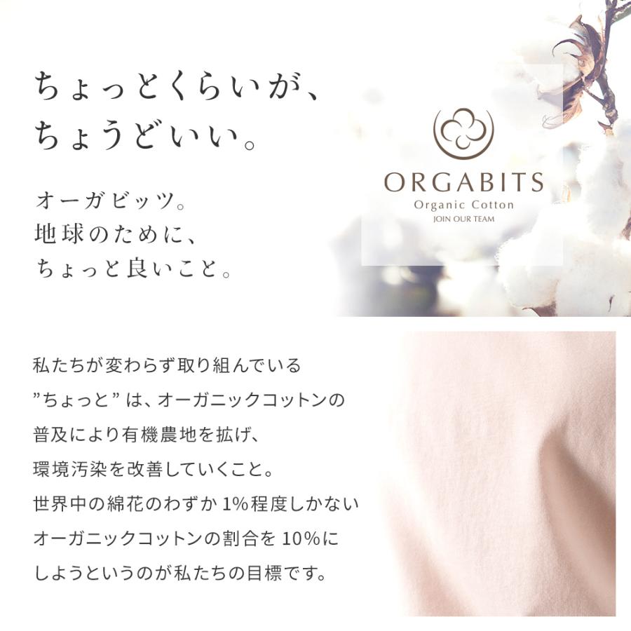 半袖Tシャツ 綿100% レディース オーガニックコットン Vネック 半袖Tシャツ 綿100% レディース オーガニックコットン Vネック