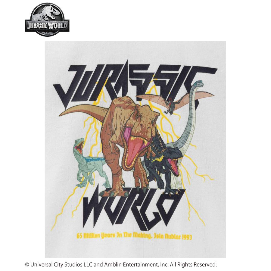 Molo モロ　恐竜　ジュラシックワールド　セットアップ　Tシャツ Molo モロ 恐竜 ジュラシックワールド セットアップ Tシャツ Molo モロ