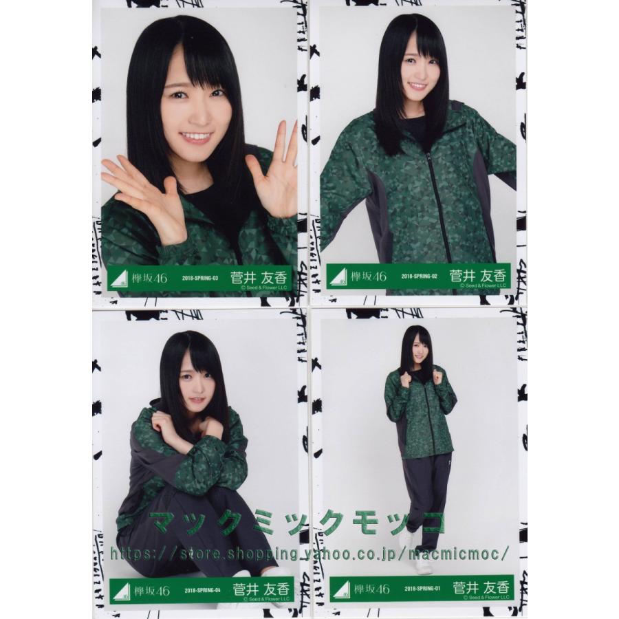 櫻坂 欅坂 菅井友香 生写真 コンプ多数