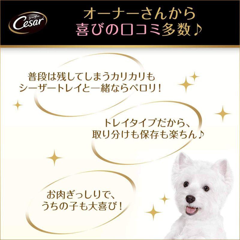 シーザー ドッグフード 11歳からの 吟選ビーフ シニア犬用 100g×96個 (ケース販売) ドッグフード 11歳からの 吟選ビーフ シニア犬用 100g×96個 ケース販売