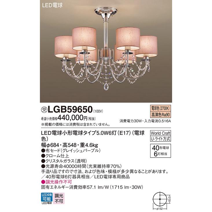 Panasonic 受注品 LGB59650 パナソニック LED 電球5.0WX6