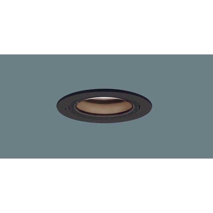 Panasonic（パナソニック） LRD9101 ダウンライト (ランプ別売GX53