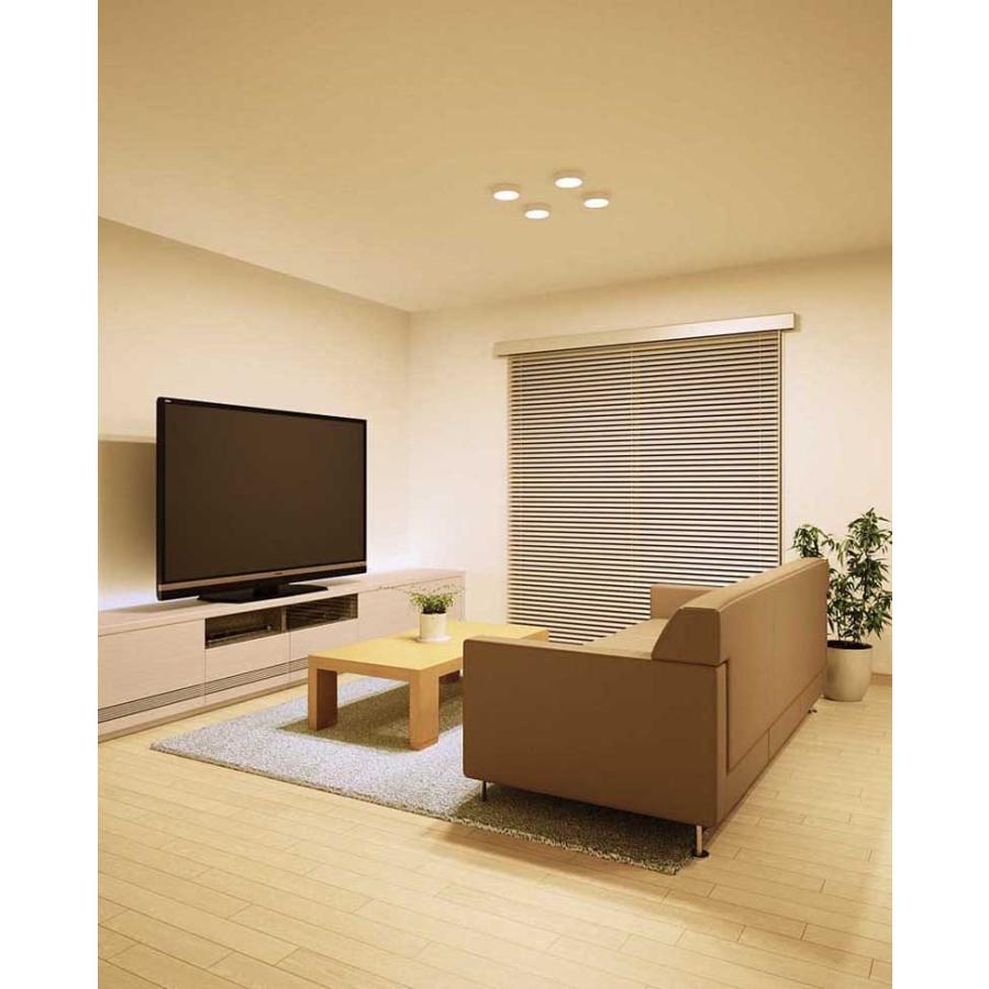 ODELIC OL251359R 在庫品 オーデリック シーリングダウンライト