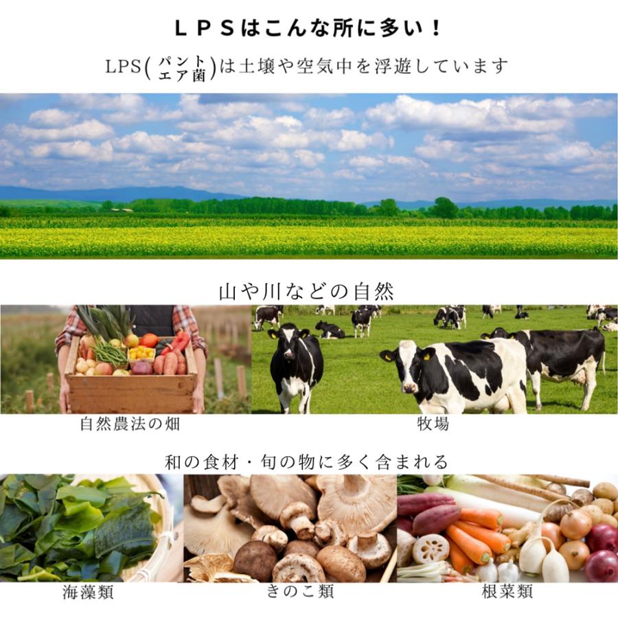 マクロ元気 120包 賞味期限2021.4月 特許成分配合LPSサプリメント「マクロ元気」120包超お得パック｜食物