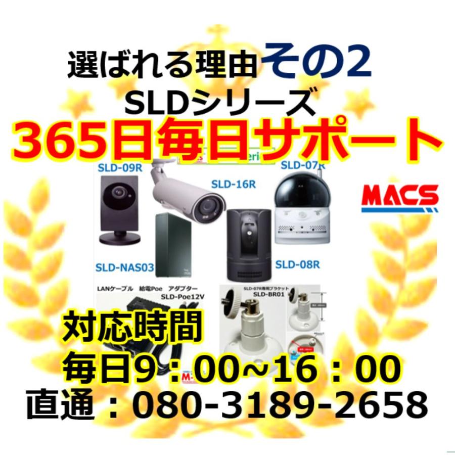 あすつく SLD-19R  低照度カラードーム型　IPカメラ（207万画素）　YouTube配信機能　スターライト仕様で暗い場所でもカラー撮影が可能に！ |  | 11