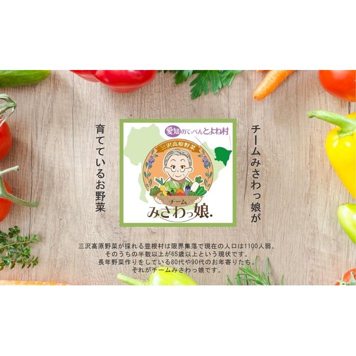 三沢高原野菜 季節のお野菜いろいろセット おまかせセット｜madame-ichiko｜05