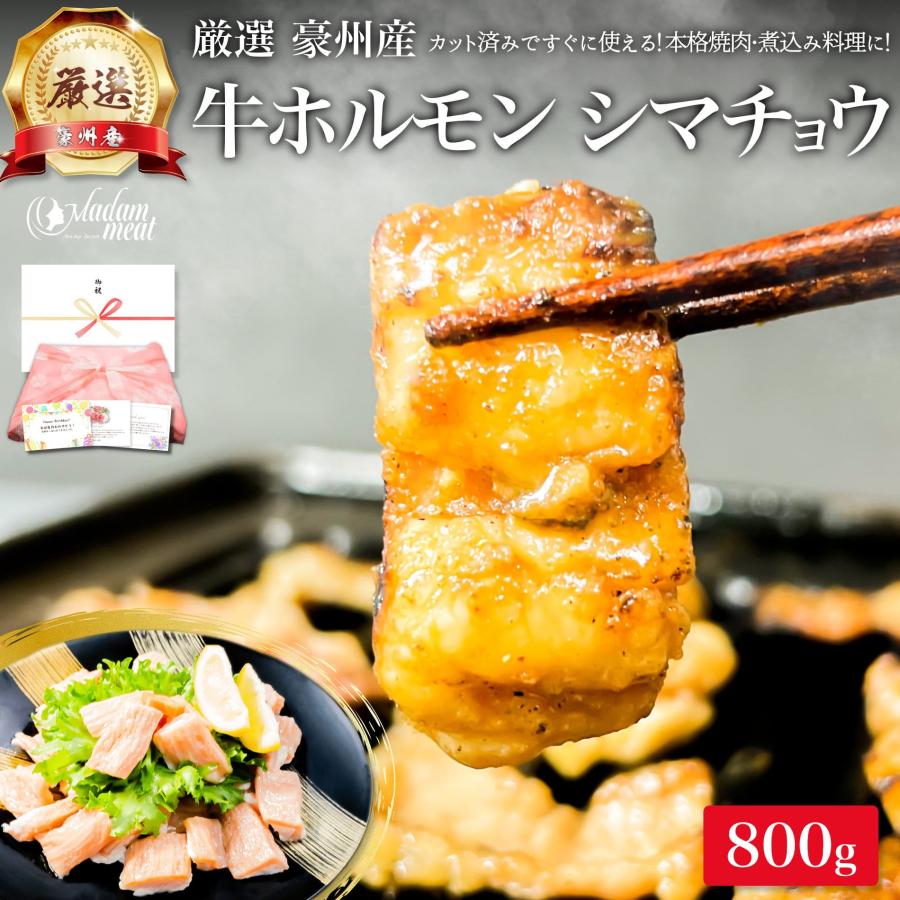 牛 ホルモン 豪州産 焼肉 もつ鍋 シマチョウ 800g テッチャン 大腸