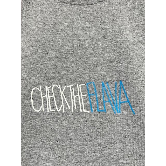 DAMMIT CHECK THE FLAVA Tシャツ(ヘビーウェィト) Grey 2XLサイズ｜maddope｜04