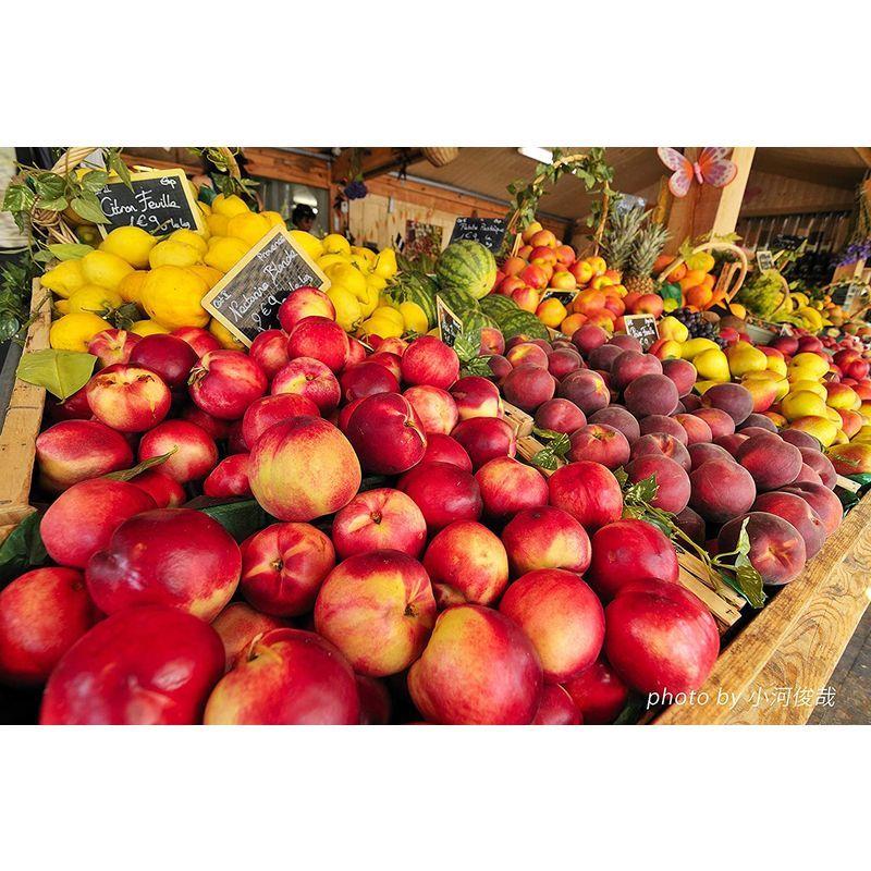 【中古品/USED】 Tokina 超広角ズームレンズ atx-i 11-16mm F2.8 CF ニコン F用 APS-Cフォーマット用 696958 【A8561062091】(30537円)