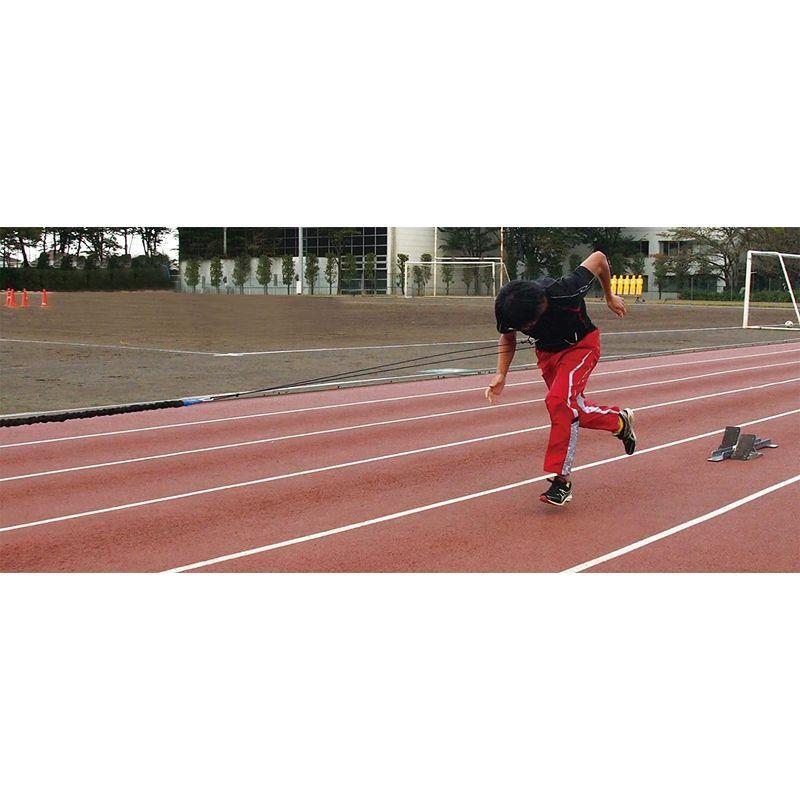 NISHI(ニシ・スポーツ) クイックリリース・スピードハーネス ヘビーチューブタイプ NT7422D ブラック NISHI(ニシ・スポーツ) ブラック