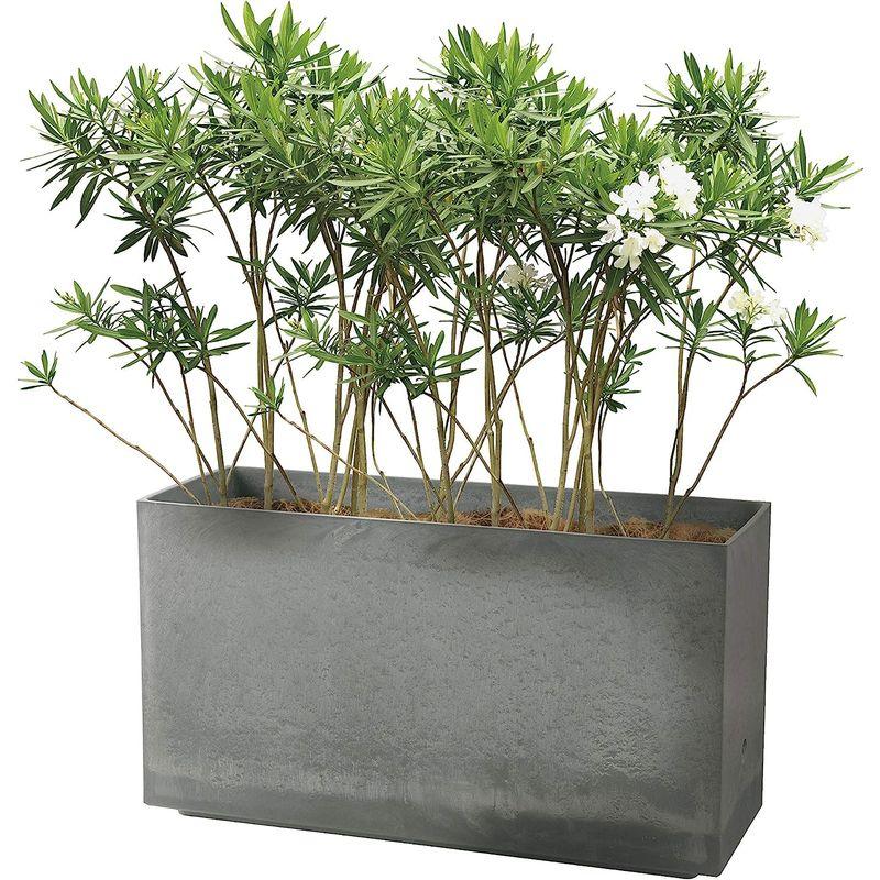 【新品同様 / 希少】 リッチェル 大型プランター 陶器風 ライトグレー 80×29.5×45cm ラヴィーレWS レクタングル 80型 底面給水機能付き 7090 【AAA8937883327】(31882円)