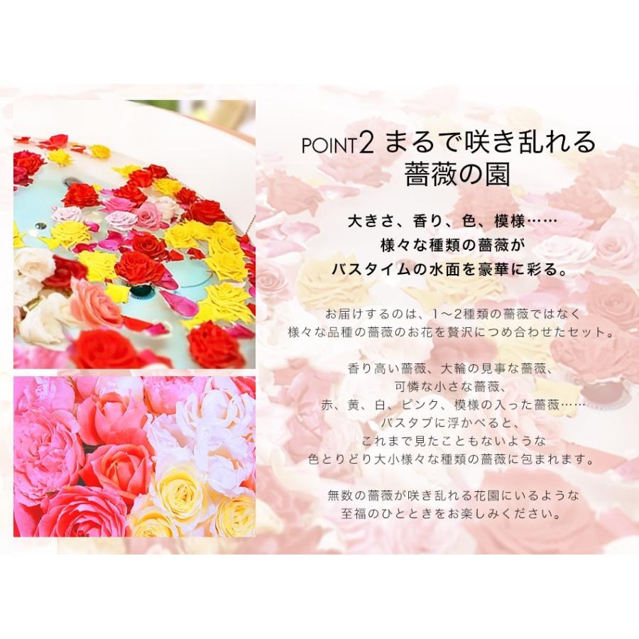 プレゼントに！薔薇風呂 セット77輪　ちょっとリッチにゴ ージャスバラ風呂セット　/薔薇 風呂/バラ/ばら/薔薇 |  | 02