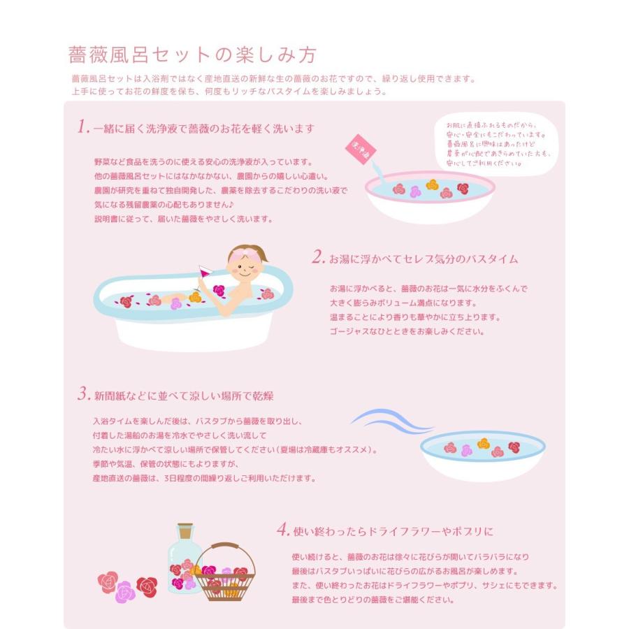 プレゼントに！薔薇風呂 セット77輪　ちょっとリッチにゴ ージャスバラ風呂セット　/薔薇 風呂/バラ/ばら/薔薇 |  | 03