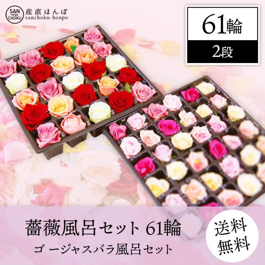 プレゼントに！薔薇風呂 セット61輪　ちょっとリッチにゴ ージャスバラ風呂セット　/薔薇 風呂/バラ/ばら/薔薇 | 