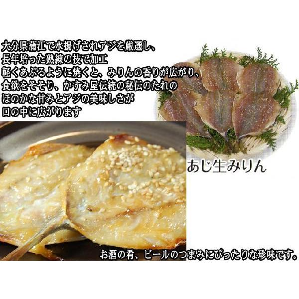 あじ生みりん6〜7ひき　大分蒲江の干物を産地直送　※魚のサイズにより、枚数は異なります |  | 03
