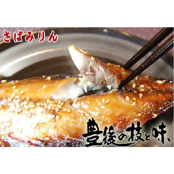 さばみりん2〜4ひき　大分蒲江の干物を産地直送　※魚のサイズにより、枚数は異なります |  | 02