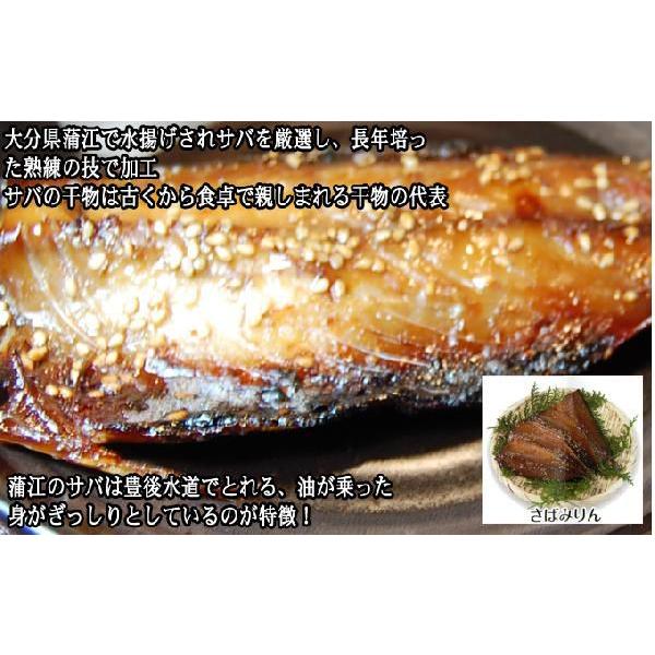 さばみりん2〜4ひき　大分蒲江の干物を産地直送　※魚のサイズにより、枚数は異なります |  | 03