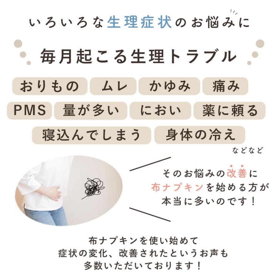 メイド・イン・アース ( ケア / 改善 ) 布ナプキン シフト 5点 セット