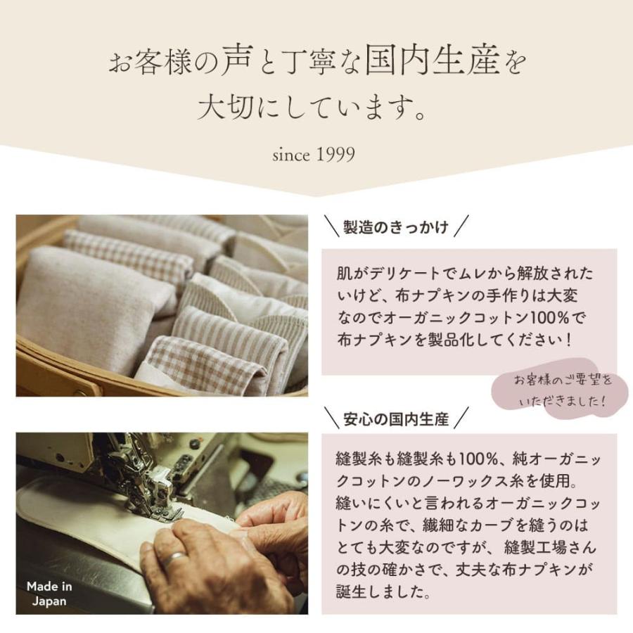 メイド・イン・アース 布ナプキン 昼用 レギュラー パッド セット