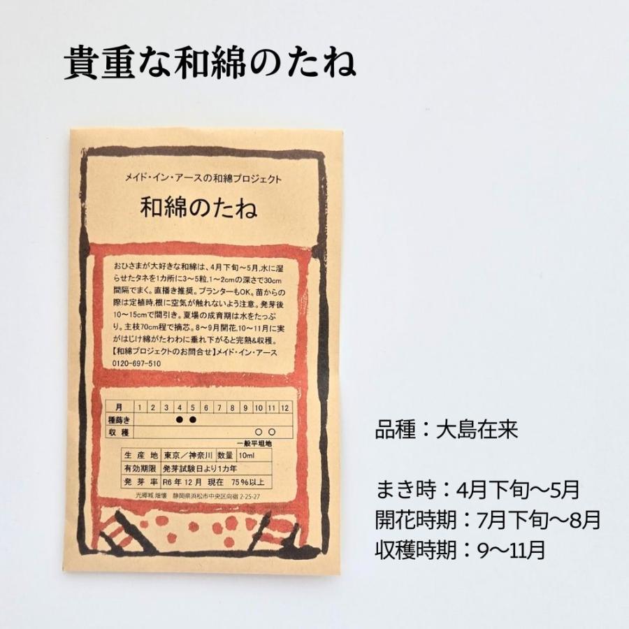 綿　1、１キロ　オーガニック　コットンフラワー　綿　わた　種なし 和綿のたね | オーガニックコットン専門ブランド「メイド・イン