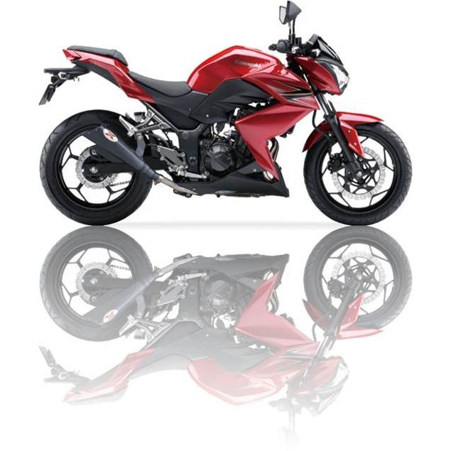 MAD MAX - 土日大売り出し!!IXIL(イクシル)KAWASAKI NINJA 250-300 R ´13/Z 250-300 R ´13 SLIP ON X55B-スラッシュ 玉蜀黍印字機