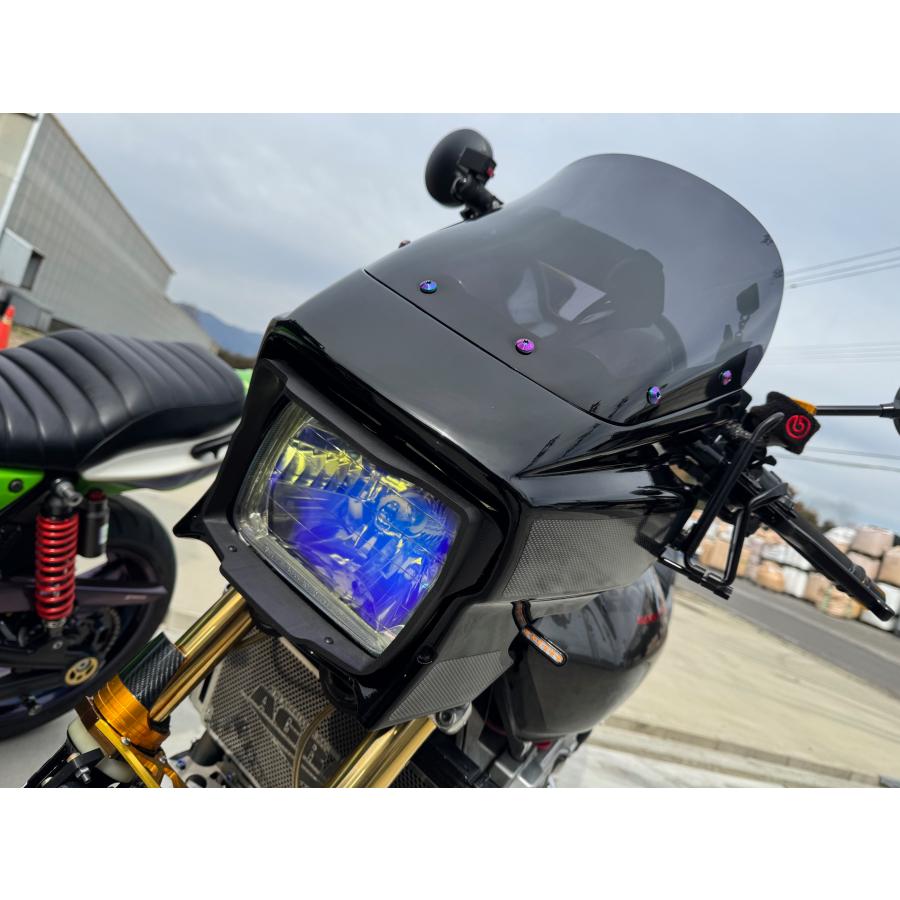 カワサキZRX1200ダエグライトルーバー。 ZRX1200DAEGダエグ用 ヘッドライトルーバー タイプ2 : MADNAOSEAN