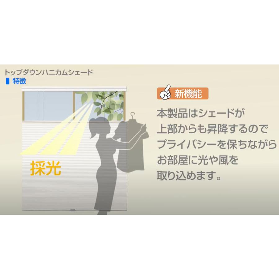 フルネス (コードレス) 上下開閉可能 トップダウン ハニカム フルネス (コードレス) 上下開閉可能 トップダウン ハニカム