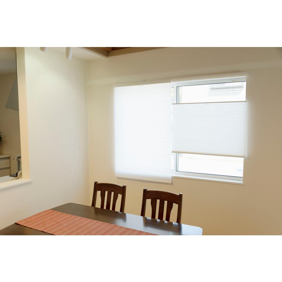 フルネス（Fullness） （コードレス） 上下開閉可能 トップダウン