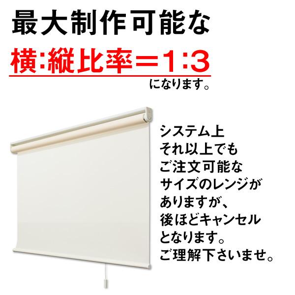 フルネス（Fullness） （プルハンドル付属・無地） ロールスクリーン