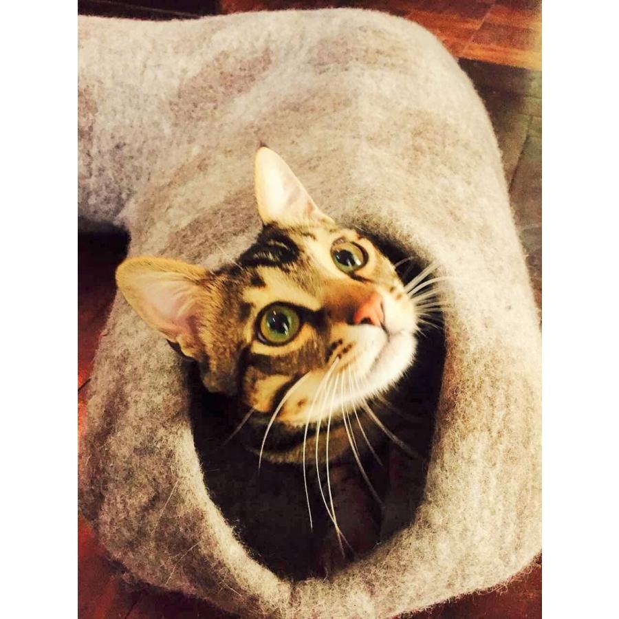 ねこ　フェルトトンネル　　 |  | 01