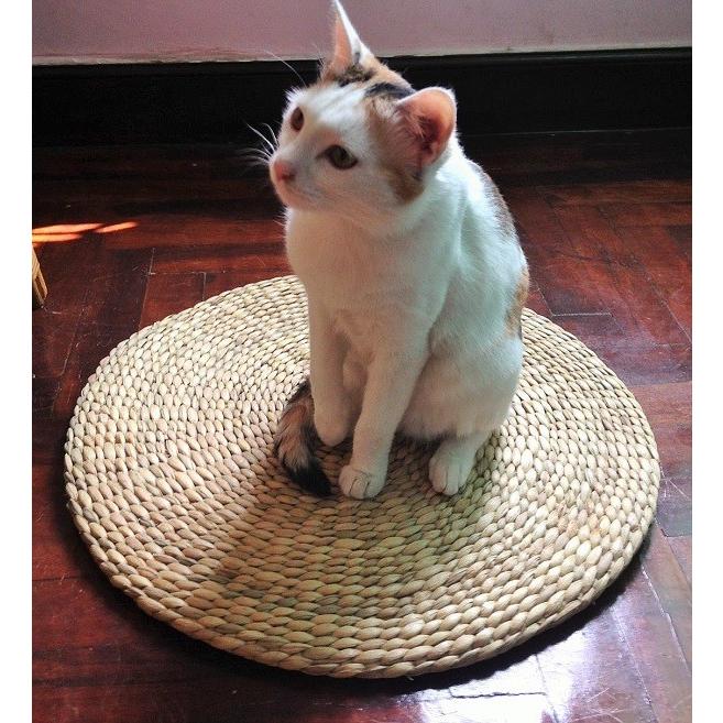 ねこ　マット | 