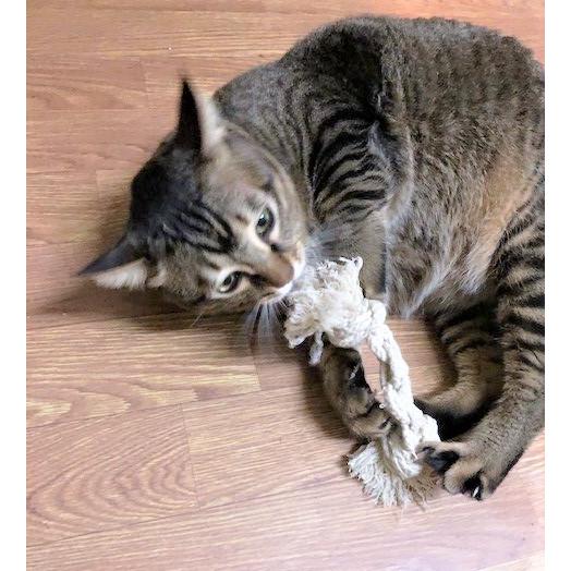 100％コットンロープ　おもちゃ　犬猫用　トイ　 |  | 02