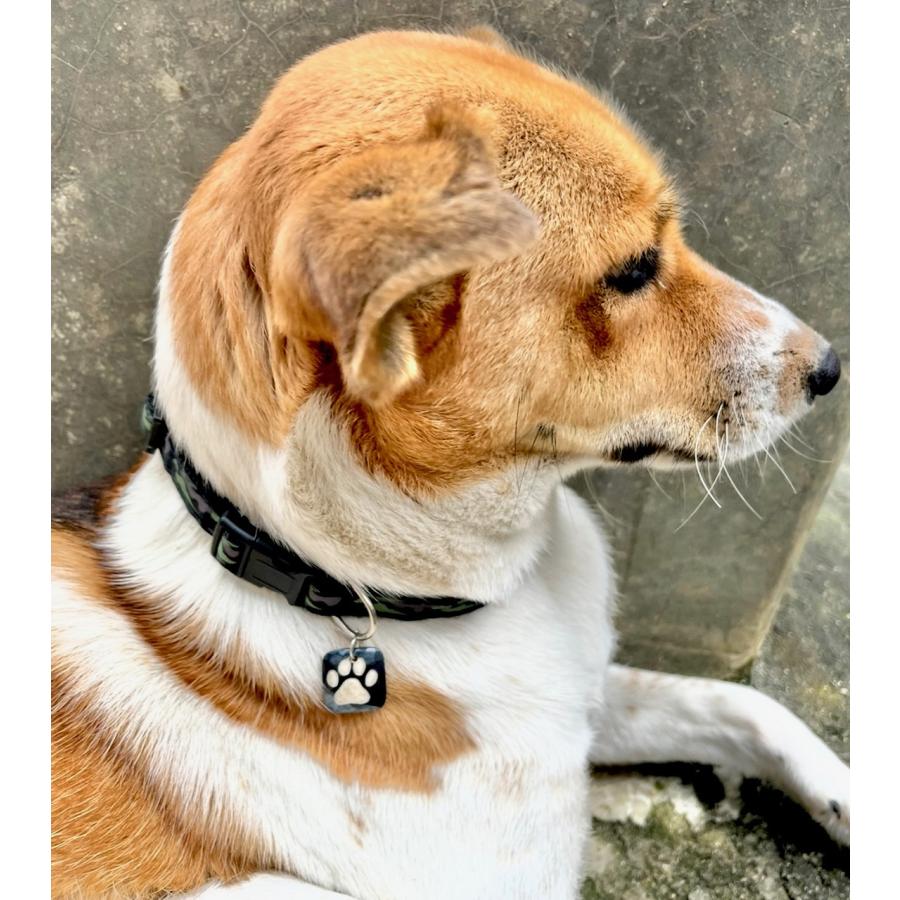 犬/ 猫　首輪チャーム　アクセサリー　2色3種　足あと　ハート　犬用　猫用 |  | 04