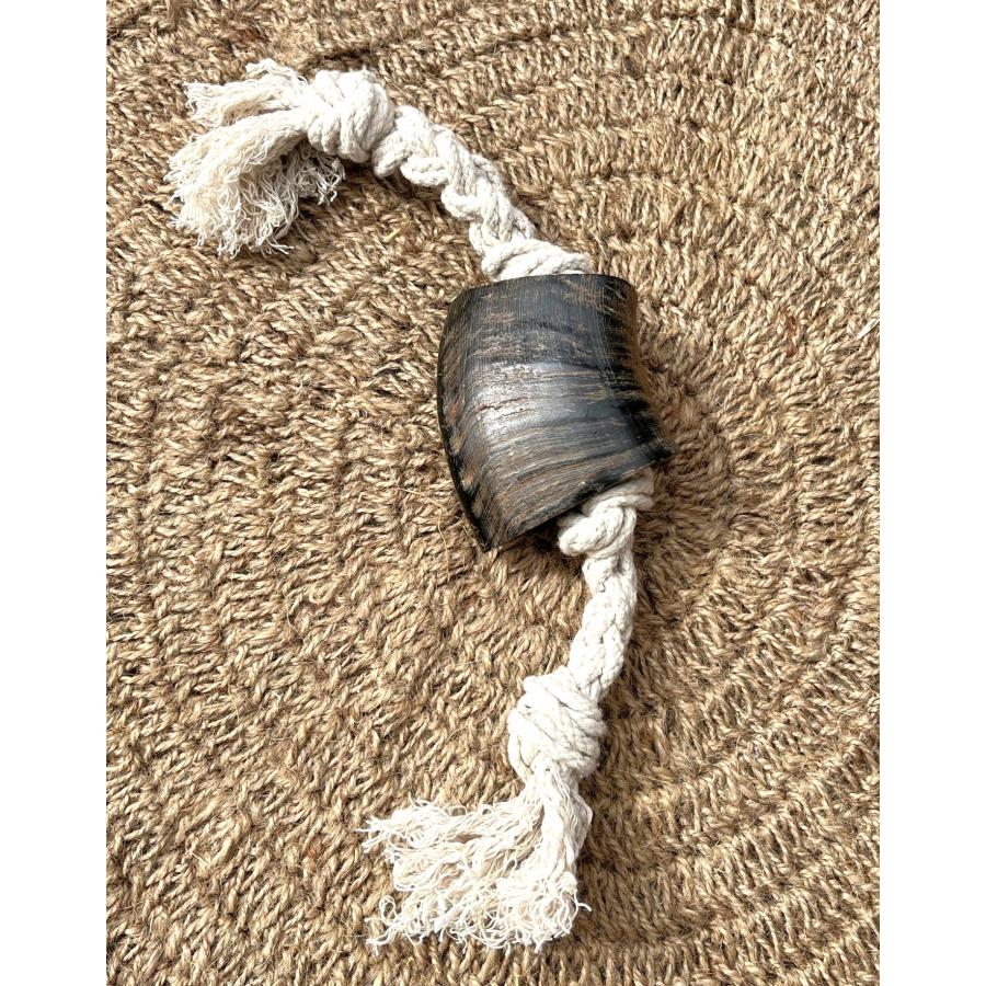 犬用　100%天然素材コットン&ホーン付きロープ　おもちゃ　オーガニック　デンタルケア　ドッグトイ　犬用　 |  | 02